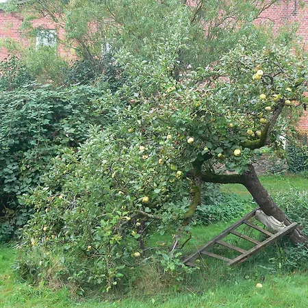 Alte Baeckerei Gnade Auf Ruegen Apartment